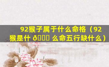 92猴子属于什么命格（92猴是什 🕊 么命五行缺什么）